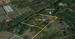 ILFS – Silang Cavite 37,500 sqm